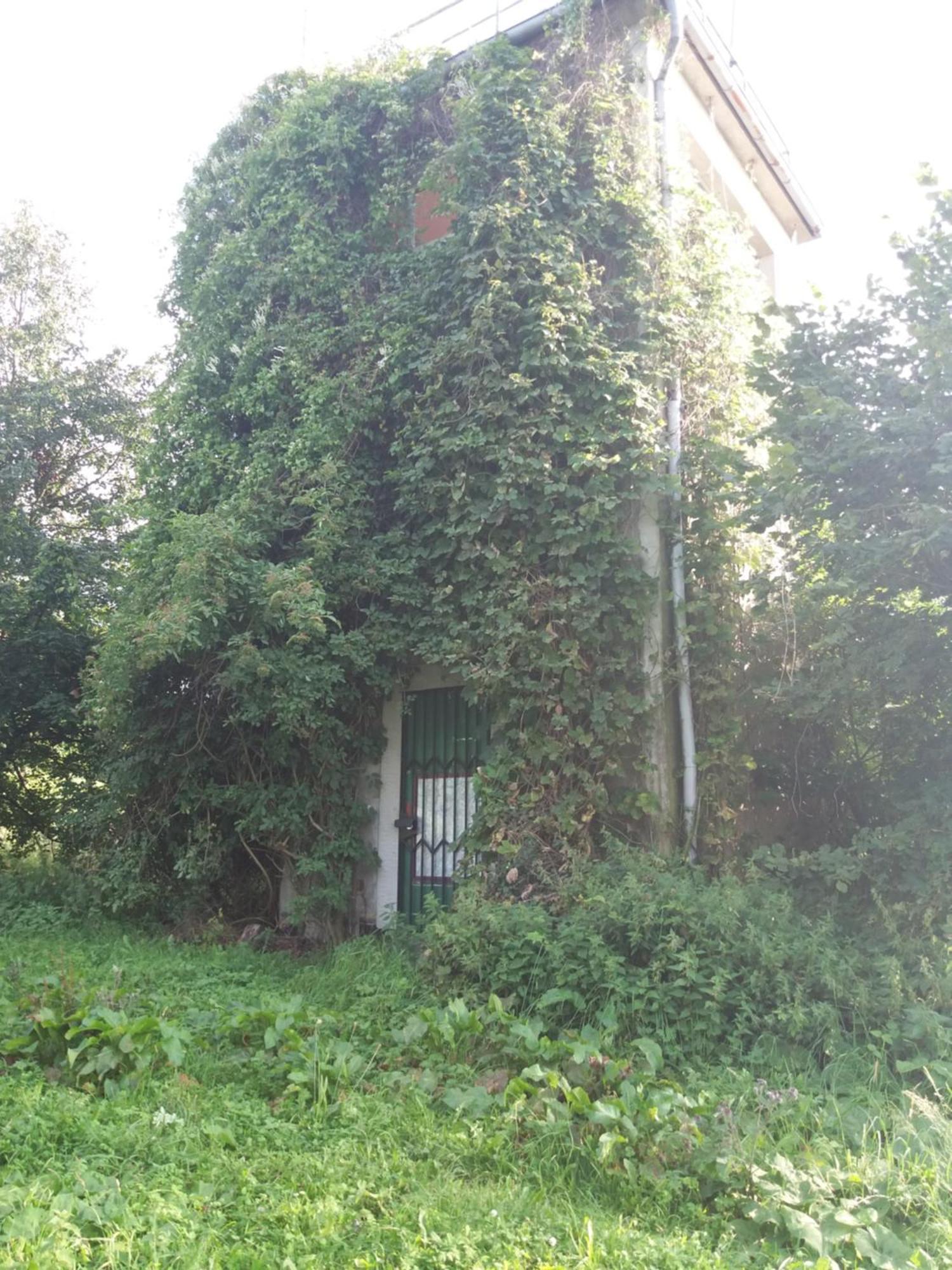Ferienwohnung Am Hochrhoener Andenhausen Luaran gambar